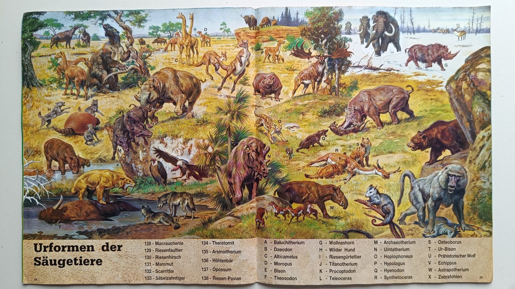 Panini Album: Panini - Tiere Der Urzeit - 1992 - Komplett – Usato da Safenwil venduto da mongge36 3