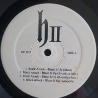 DJ Honda ‎– Blaze It Up / 5 Seconds 12" US-1998 VG