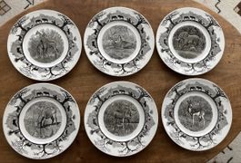 6 Vintage Wedgwood World Wildlife Fund Teller