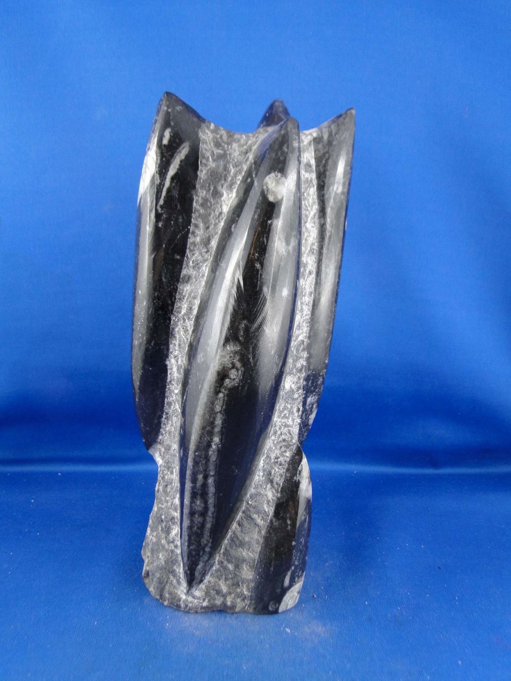 Fossili: Orthoceras Skulptur – Usato da Schinznach Bad venduto da Demerald