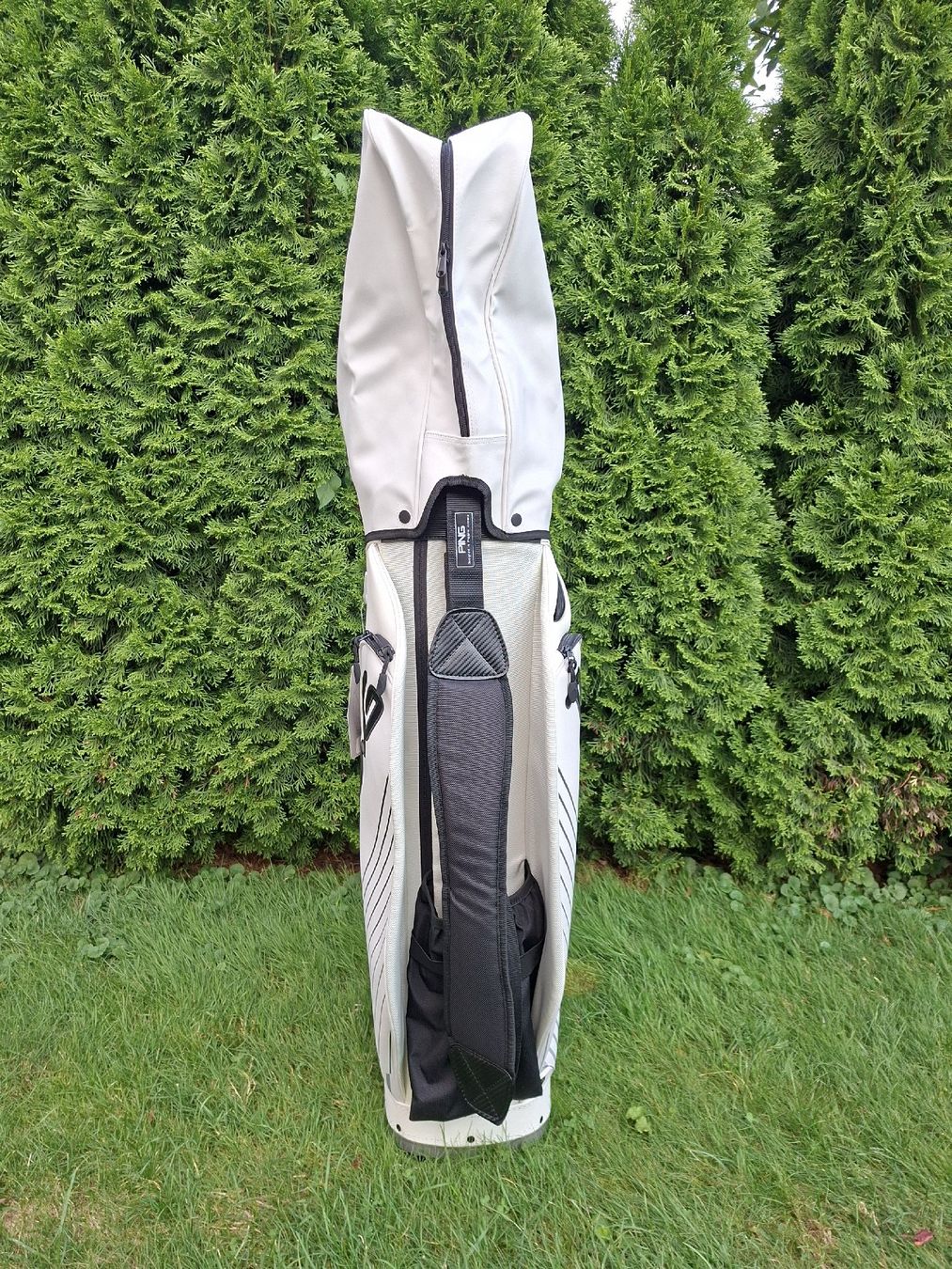 Ping Borse: PING DLX Cart Trolley Bag – Nuovo (secondo la descrizione) da Gümligen venduto da V10-Shop 3