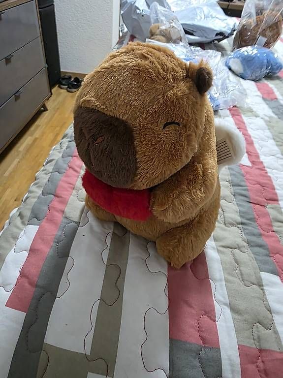 Copricapi, berretti & cappellini: Capybaras – Usato da Carouge GE venduto da gaomadal 2