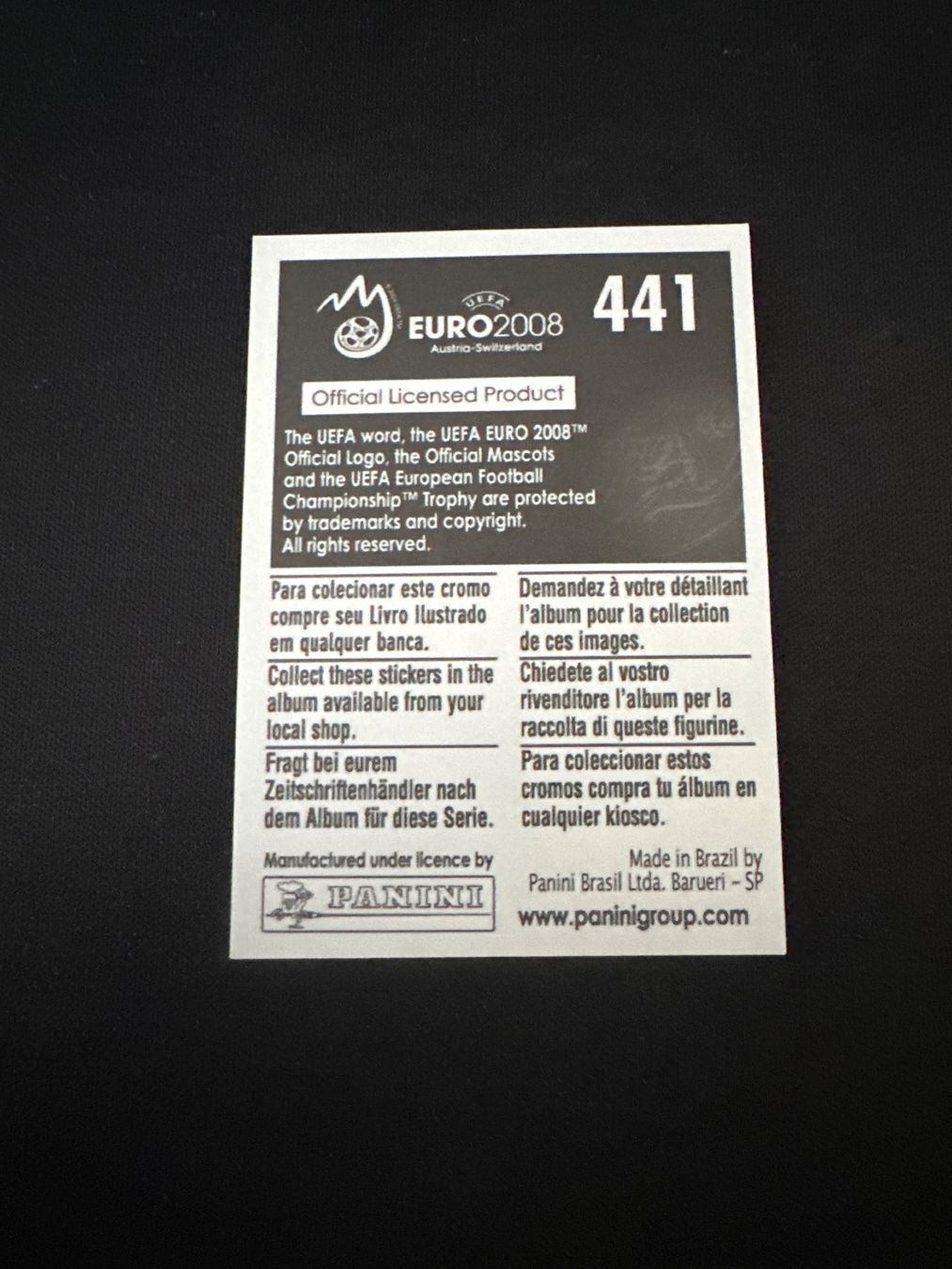 Panini Carte collezionabili: Panini UEFA EM 2008 Sticker - Nr. 441 – Usato da Sulz AG venduto da DealWerk 1