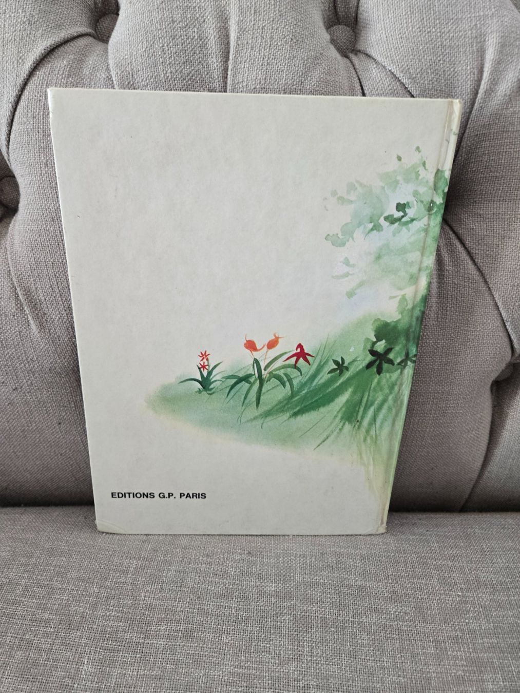 Libri: Bintang et l'oiseau malin – Usato da Crémines venduto da Blakedrake 1