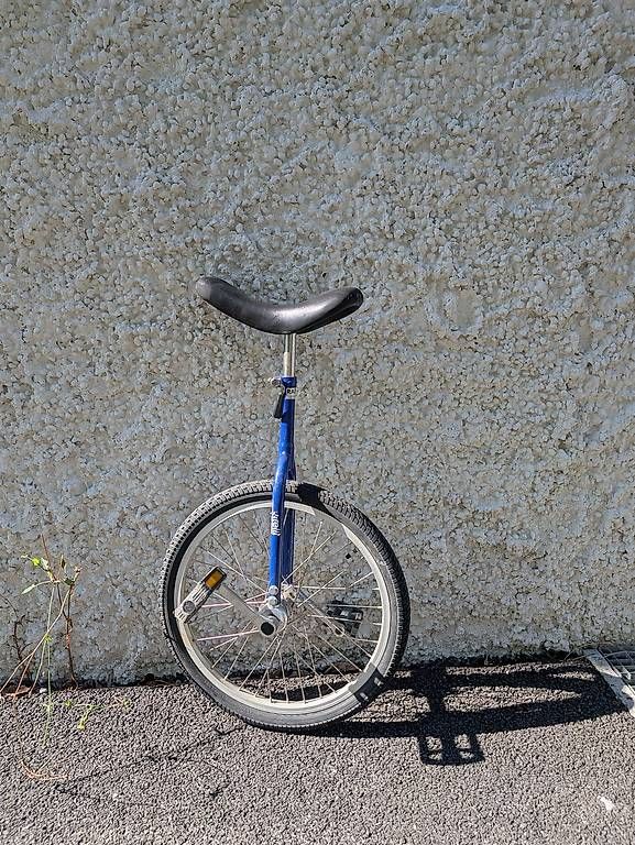 Biciclette: Vitelli Einrad 20 Zoll – Usato da Zürich venduto da Stadi83