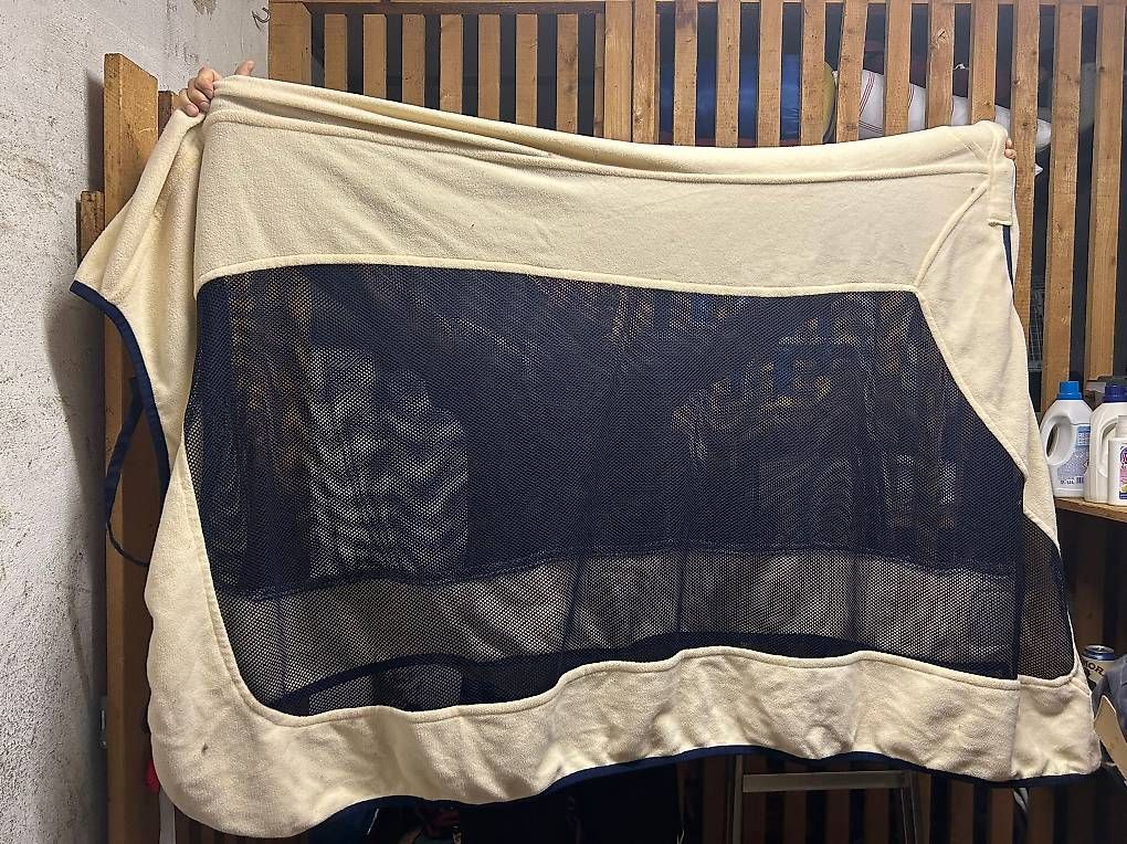 Coperte: Reit-Abschwitzdecke – Usato da Bern venduto da PhilippHa12