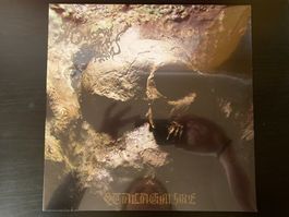 Cauldron Black Ram – Stalagmire (NEU) [LP US 2014]