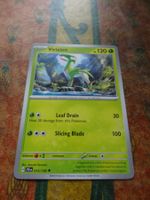 POKEMON  Virizion   H  JTG EN  015/159   HP120   2025