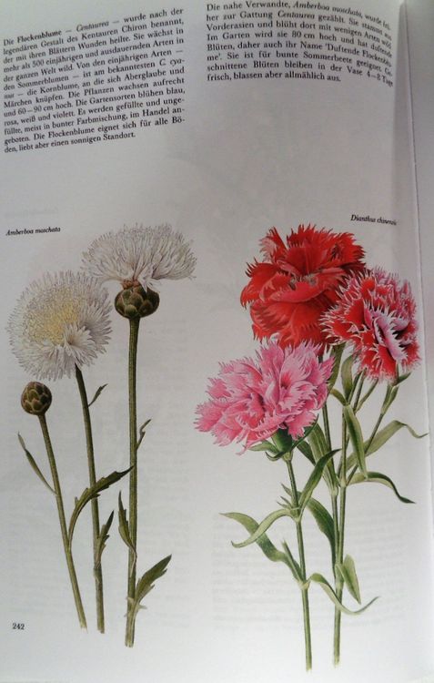 Dausien Der blühende Garten / Blumen Buch ab Fr. 18. Kaufen auf