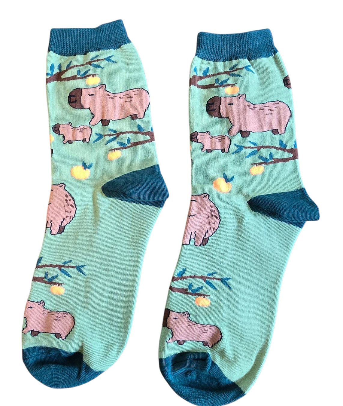 Calze: Socken Wombat/Kapibara/Orangen – Nuovo e nell'imballaggio originale da Zürich venduto da amysmith 1