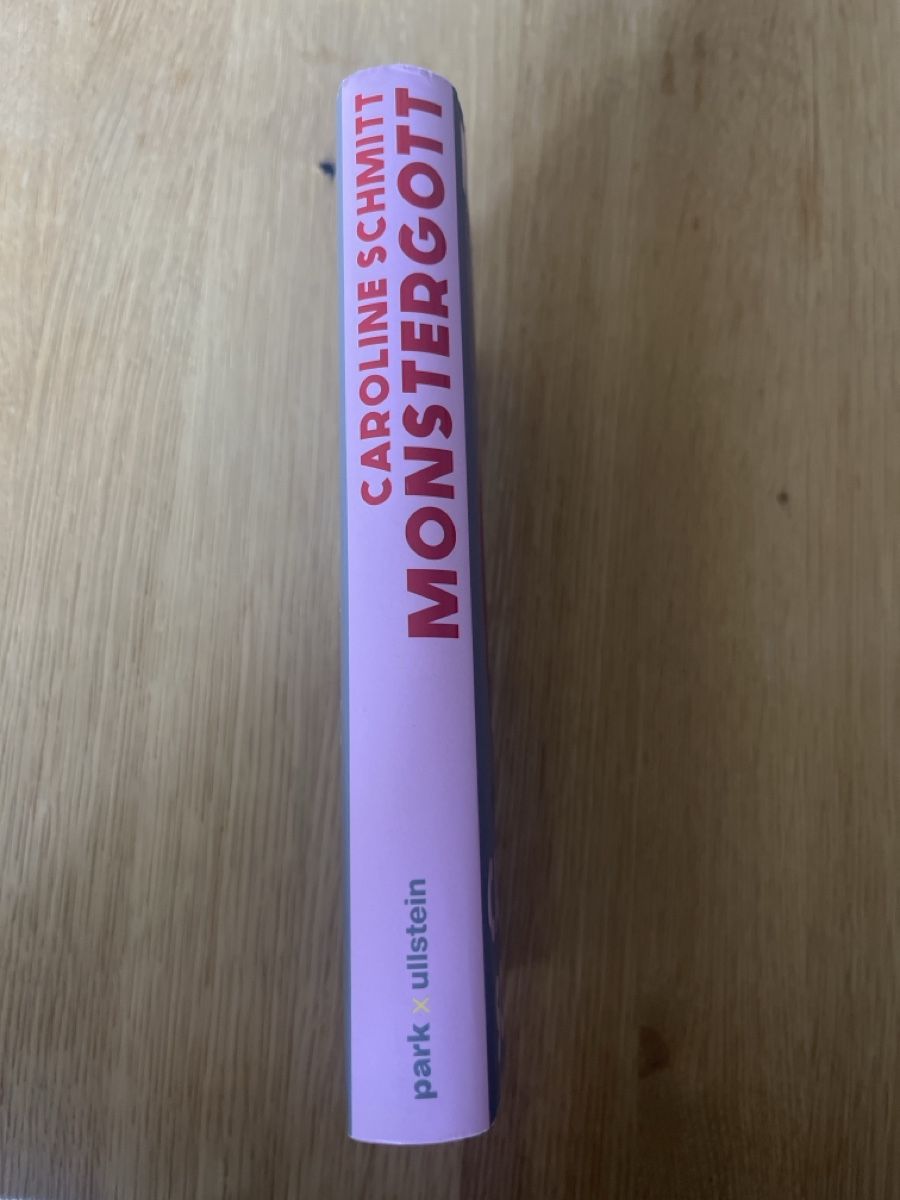 Bücher: Monstergott von Caroline Schmitt – Gebraucht aus Neuenhof von luz_h7hq 3