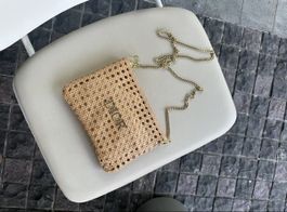 Dior Tasche Kettenträger 100cm with box