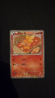 Pokemon Torchic Japanese Shiny Collection