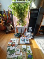 Hydroponic-Turm Komplettset: Samen, Dünger, 30 Töpfe & mehr