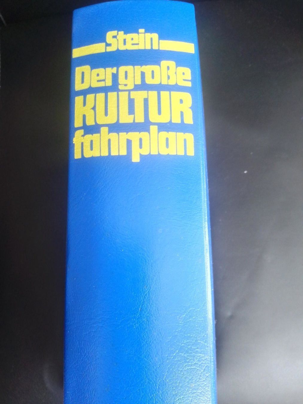 Libri: Der grosse Kultur-Fahrplan – Usato da Bassersdorf venduto da elm_f9sw