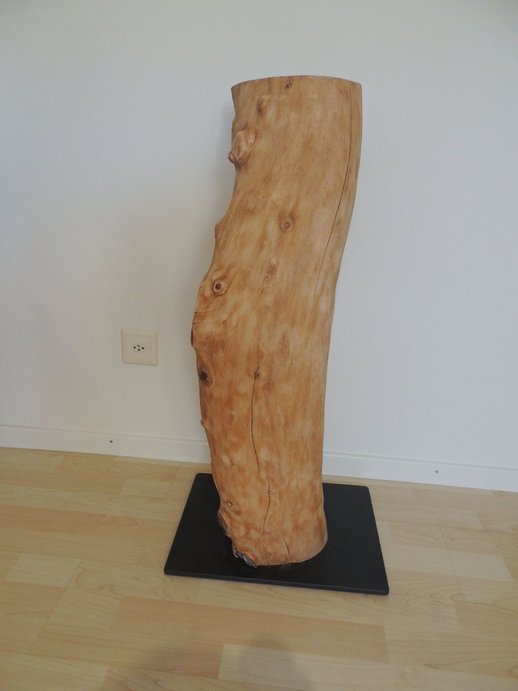 Articoli in legno: Baumstamm / Deko-Säule – Usato da Rickenbach b. Wil venduto da heinz5 3