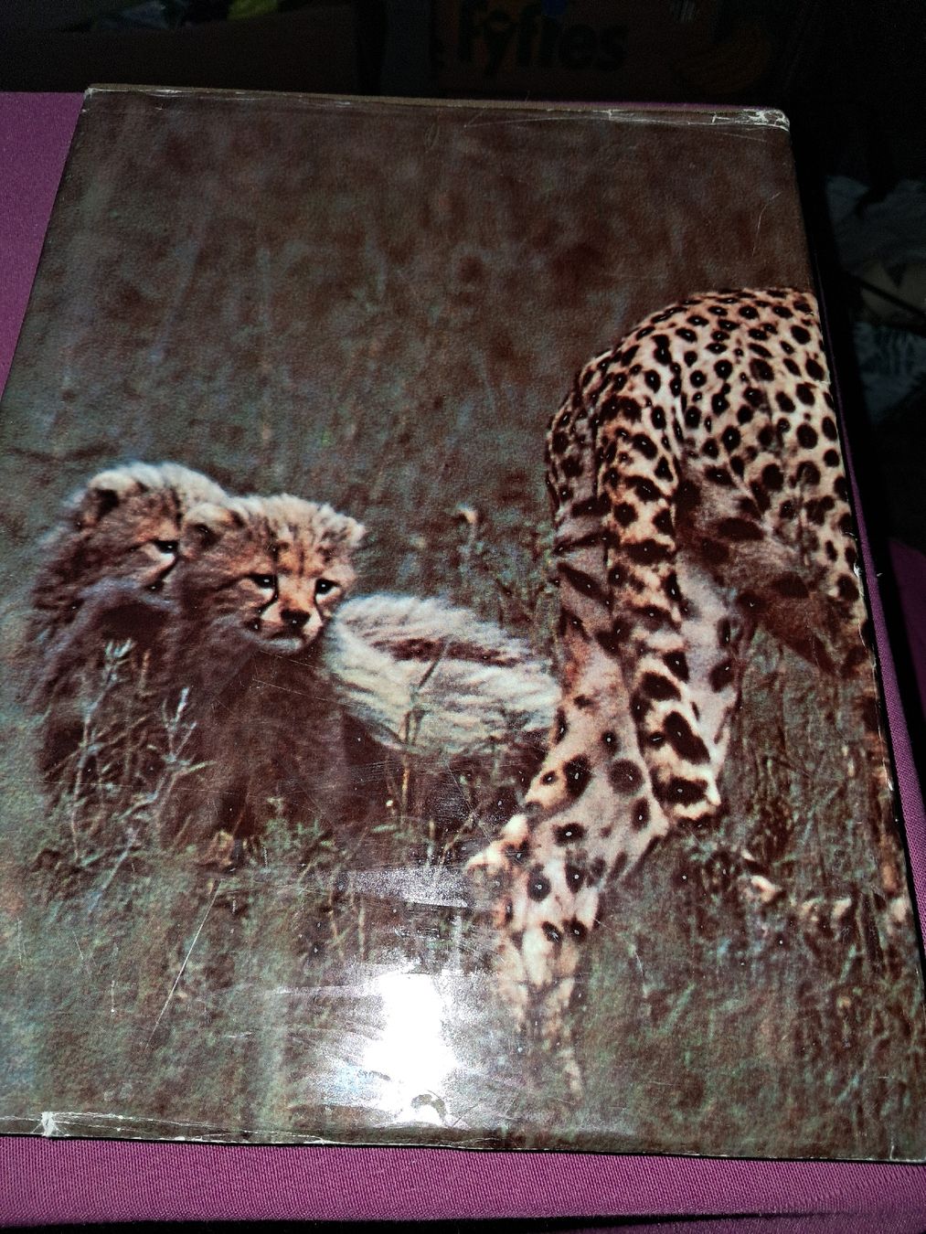 Libri: Le monde etrange et fascinant des animaux – Usato da Le locle venduto da juliensaran 3