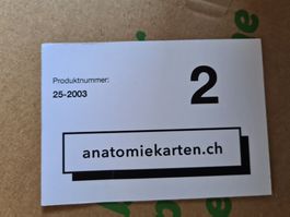 Medizinstudium Anatomiekarten TUTTI Lernkarten Karteikarten