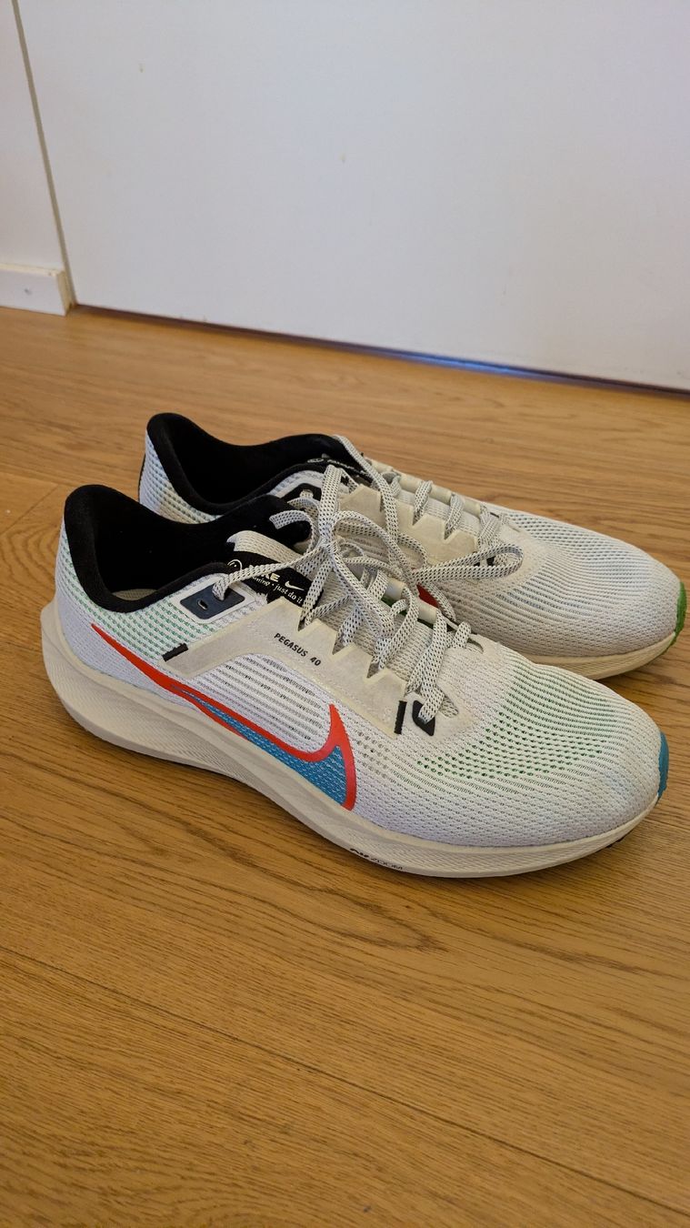 Nike Scarpe da uomo: Nike Air Pegasus 40 Gr. 45 – Usato da Zürich venduto da Ge8 3