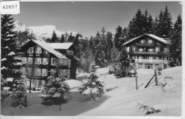 Wengen - Pension Alpenblick mit Dependance Bergheim Winter