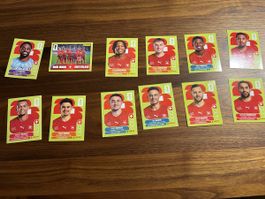 12 Panini WM 26 neu gem Foto