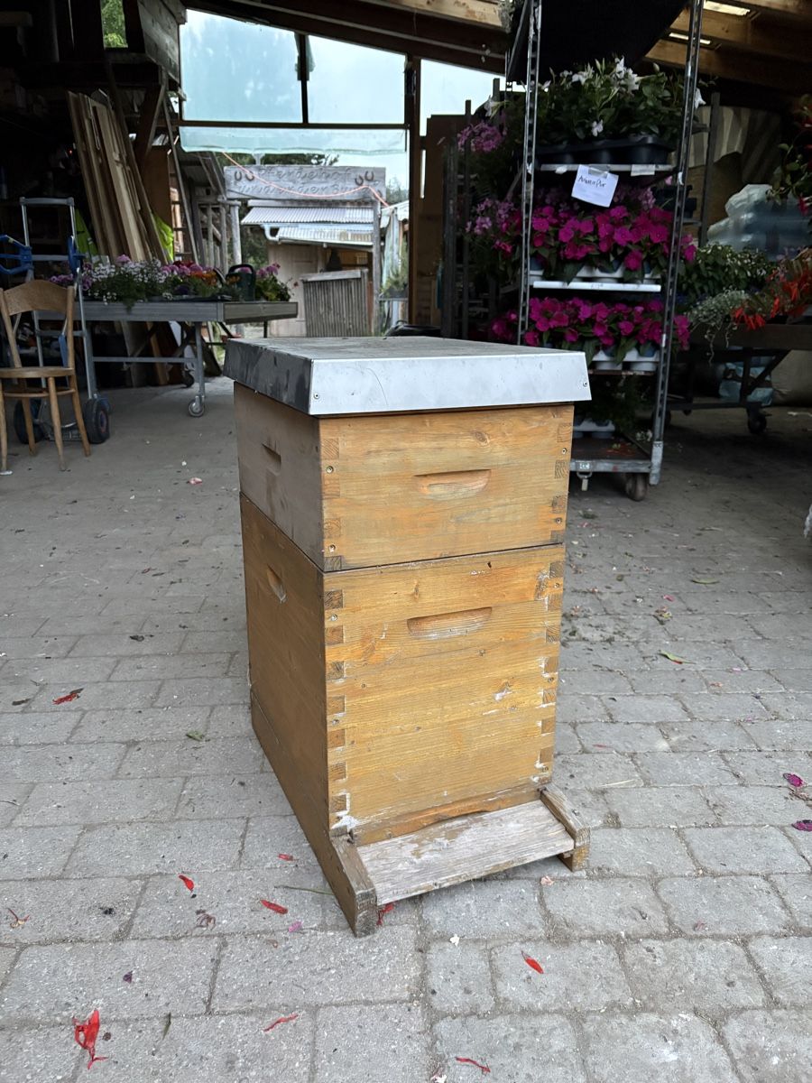 Alveari: Bienen Magazinbeute, CH-Mass – Usato da Zweisimmen venduto da FloBuc