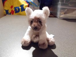 Teddy Bär, Yomiko Classics, weiss/braun