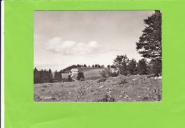 Hotel Harzer, Montoz-Court