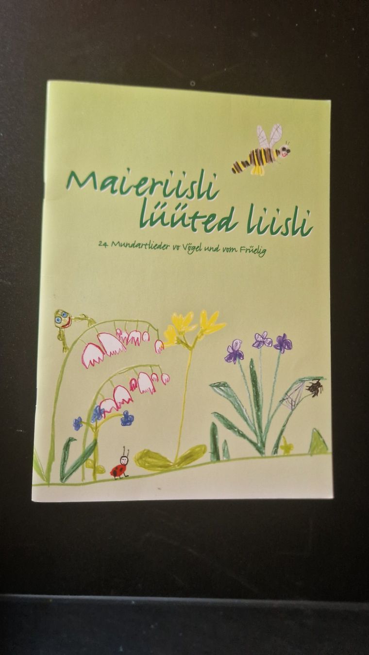 Livres: Lieder heftli – D'occasion à Linthal par nat_gp2j