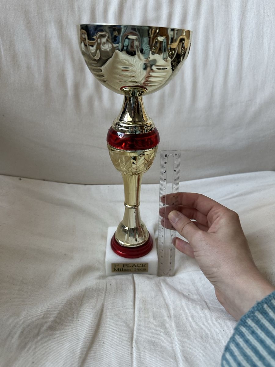 Altre raccolte & rarità: Goldener Pokal – Usato da Basel venduto da ari_f26x 1