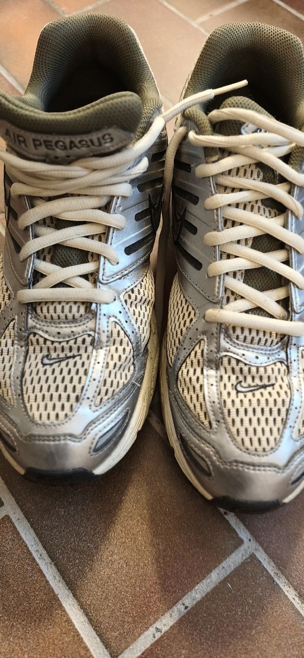 Scarpe da uomo: Nike Air Pegasus 45.5 – Nuovo (secondo la descrizione) da Balsthal venduto da GravelDudz 4