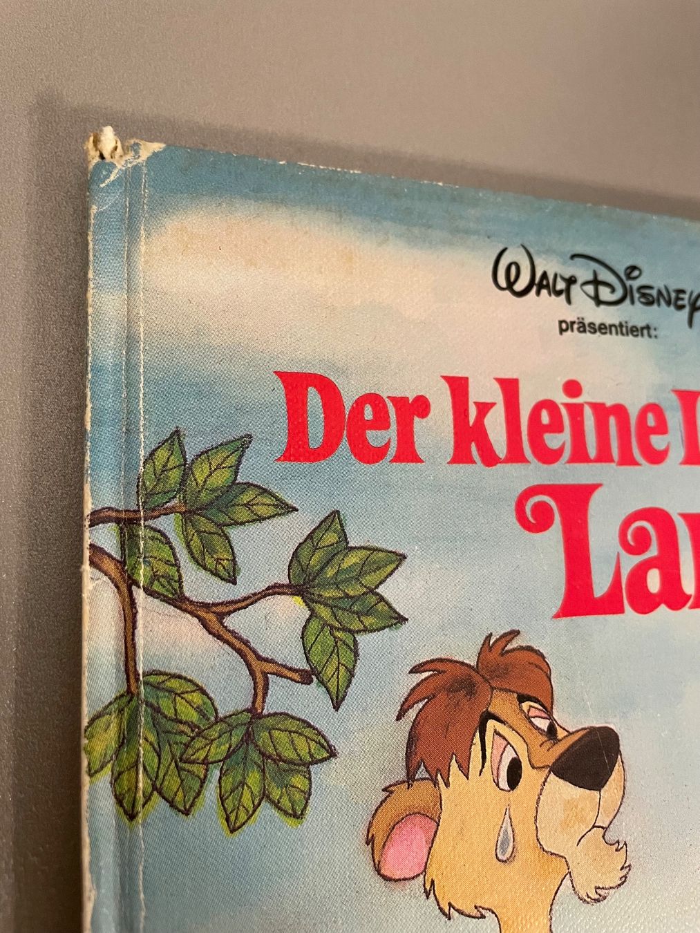 Libri: Disnye Bücher – Usato da Chur venduto da Tsambiko 1