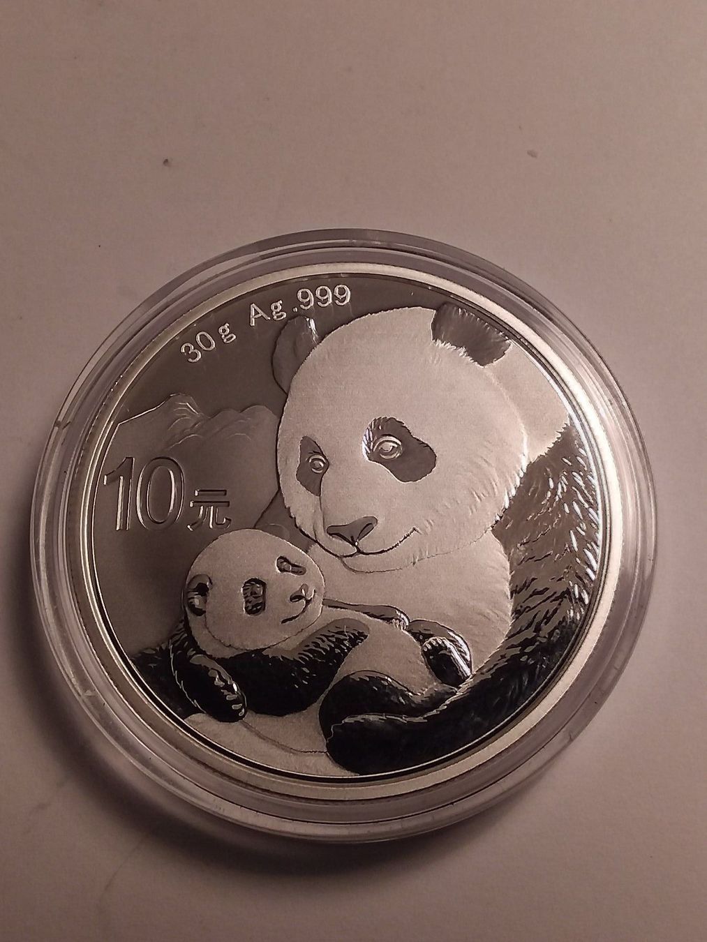 Tutti le monete: China Panda Silbermünze Jg.2019 – Nuovo e nell'imballaggio originale da Schwyz venduto da Trofana 1