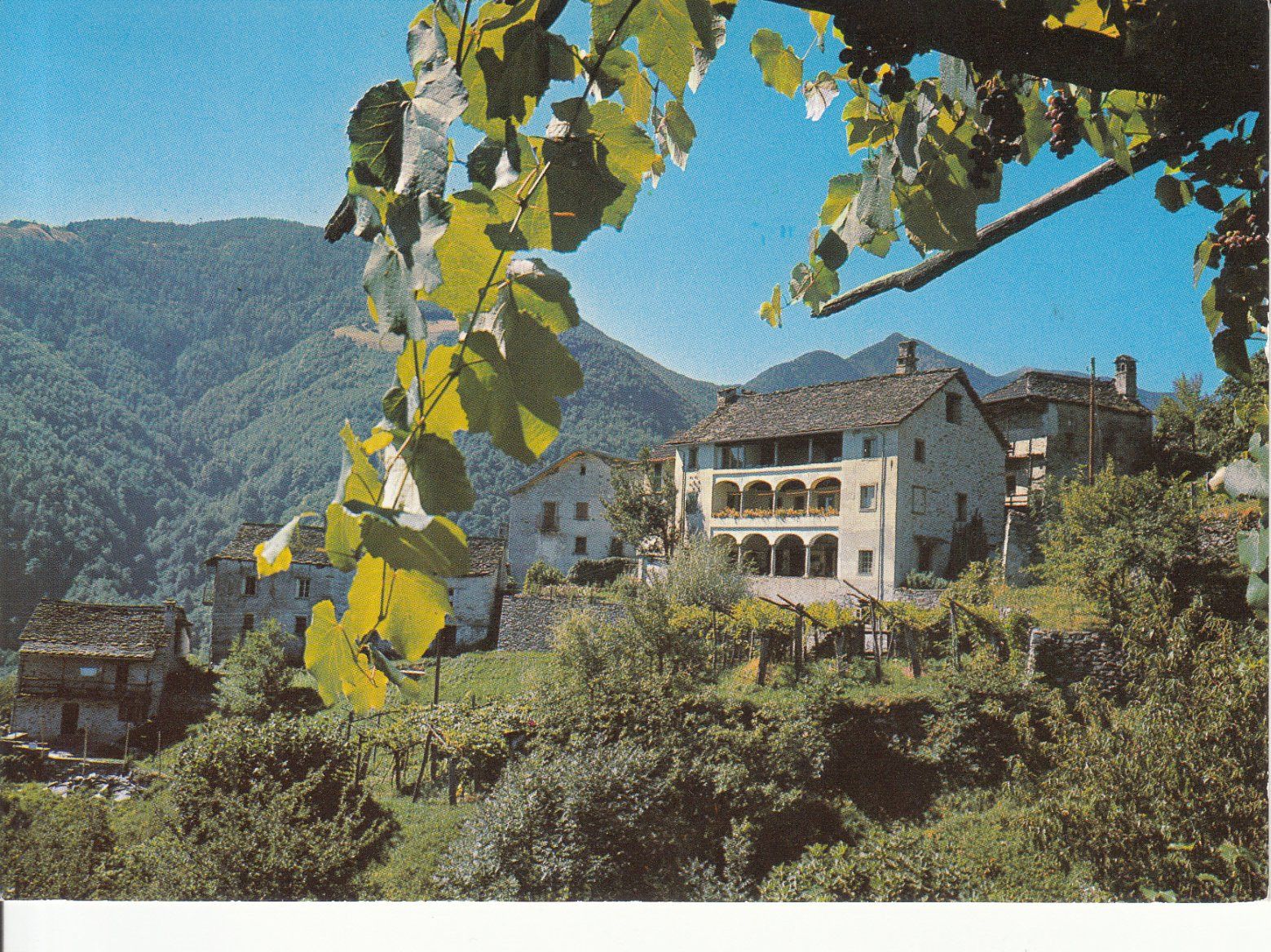 Cartoline postali: Loco 1995 – Usato da Bürglen TG venduto da StampGraf
