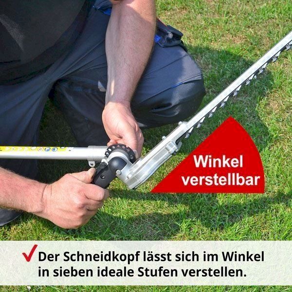 Alle Werkzeuge: Hecht 695 Elektro Hochheckenschere – Neu und originalverpackt aus Bottighofen von zaap 2