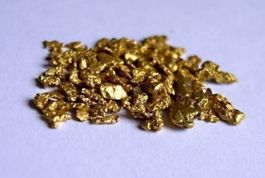 3 GOLD  NUGGETS - Bering Sea