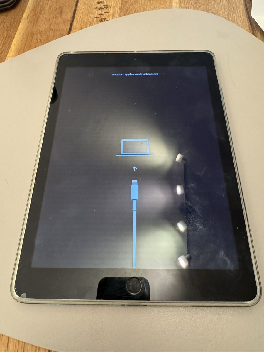 Apple Tablet PC: Apple iPad 7. Generation – Defekt aus Adliswil von Busys