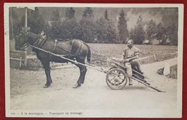 La Sallaz 1909 - . A la montagne. Transport du fromage.