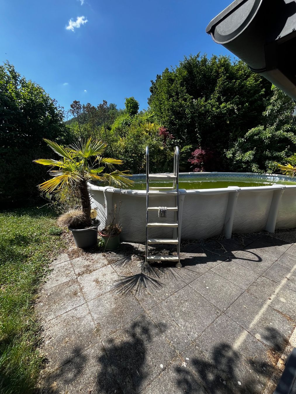 Piscine: Pool 6,8 x 3.8m ab 1 Franken – Usato da Muttenz venduto da Jutronic 1