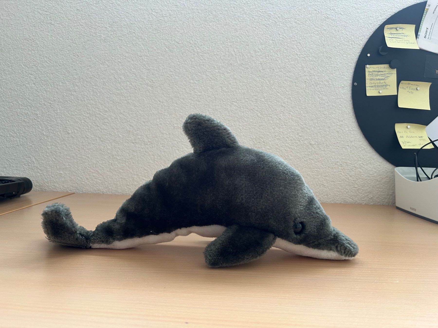 Giocattoli: Delfin Plüschtier 36 cm – Usato da Ittigen venduto da labrador35 3