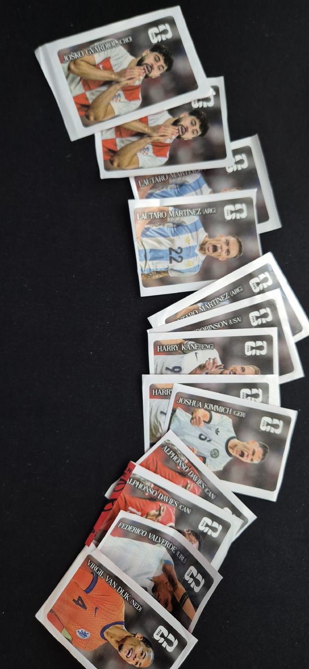 Panini Carte collezionabili: Paninis WC 2026 – Usato da Corminboeuf venduto da HugoMagic 2