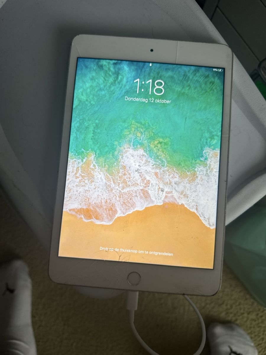 Apple Tablet PC: Ipad mini 4 - A1538 - icloude – Difettoso da Olten venduto da HoYa01 1
