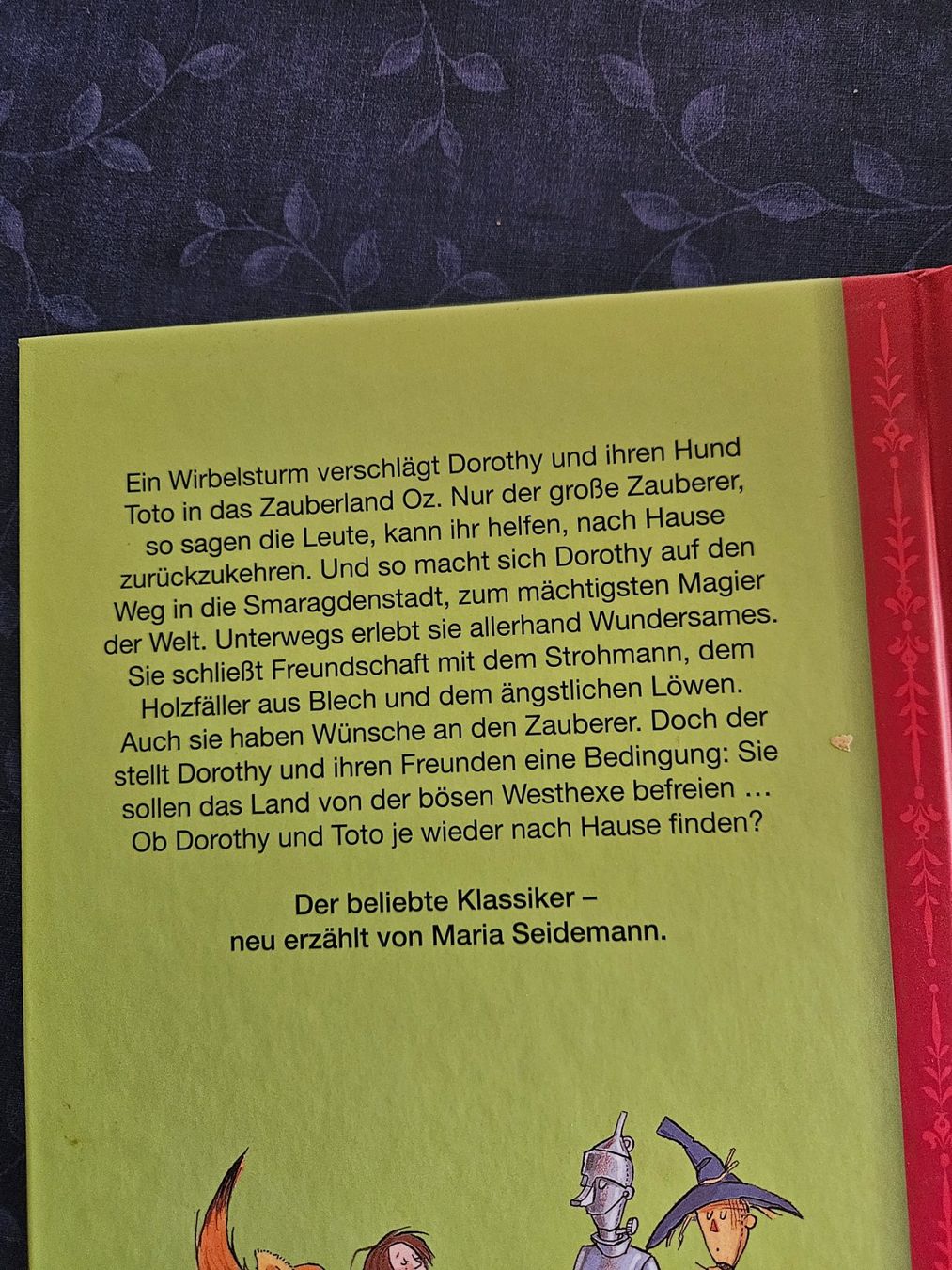 Libri: Der Zauberer von Oz Kinderbuch L. Frank Baum – Usato da Embrach venduto da Lilly2021 1