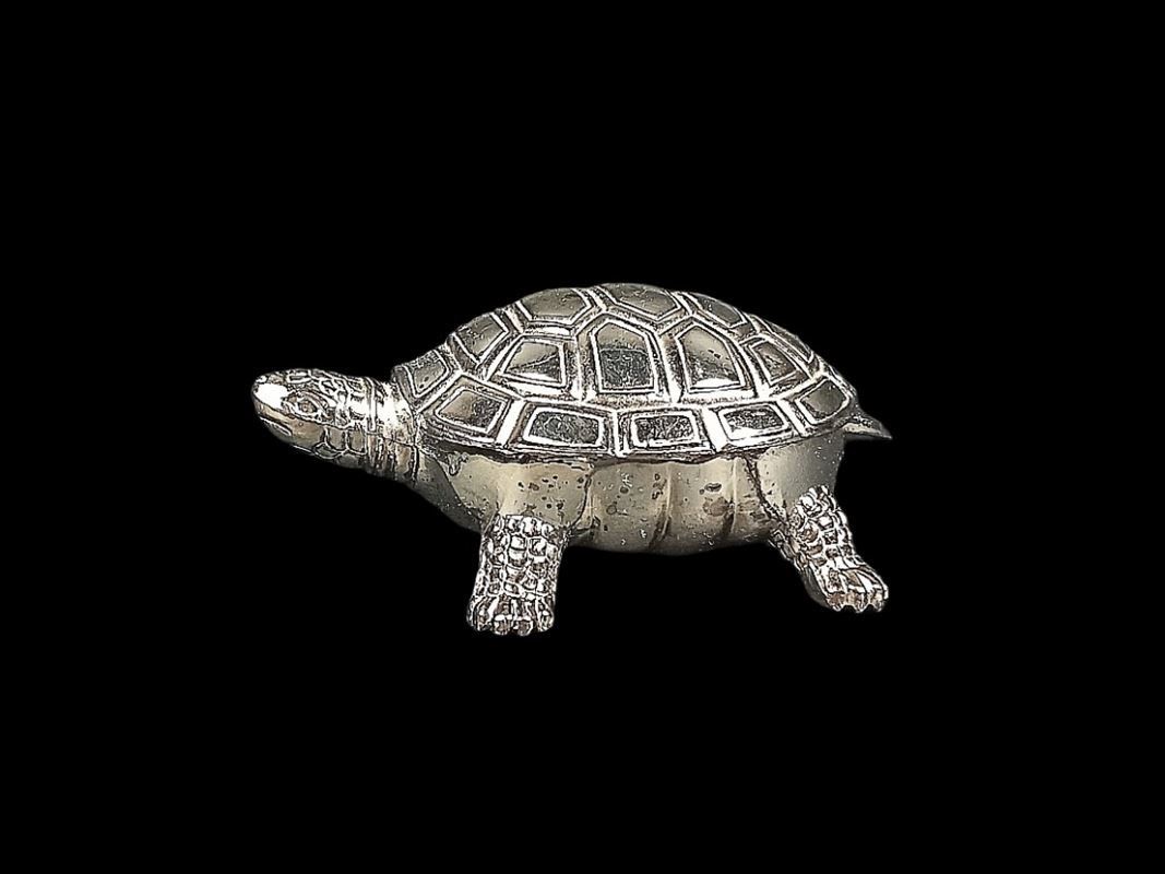 Sonstige Kosmetik & Pflege: Schildkröte, kleine Pillendose mit Zange – Gebraucht aus Hünenberg von Restwert_Zug 2
