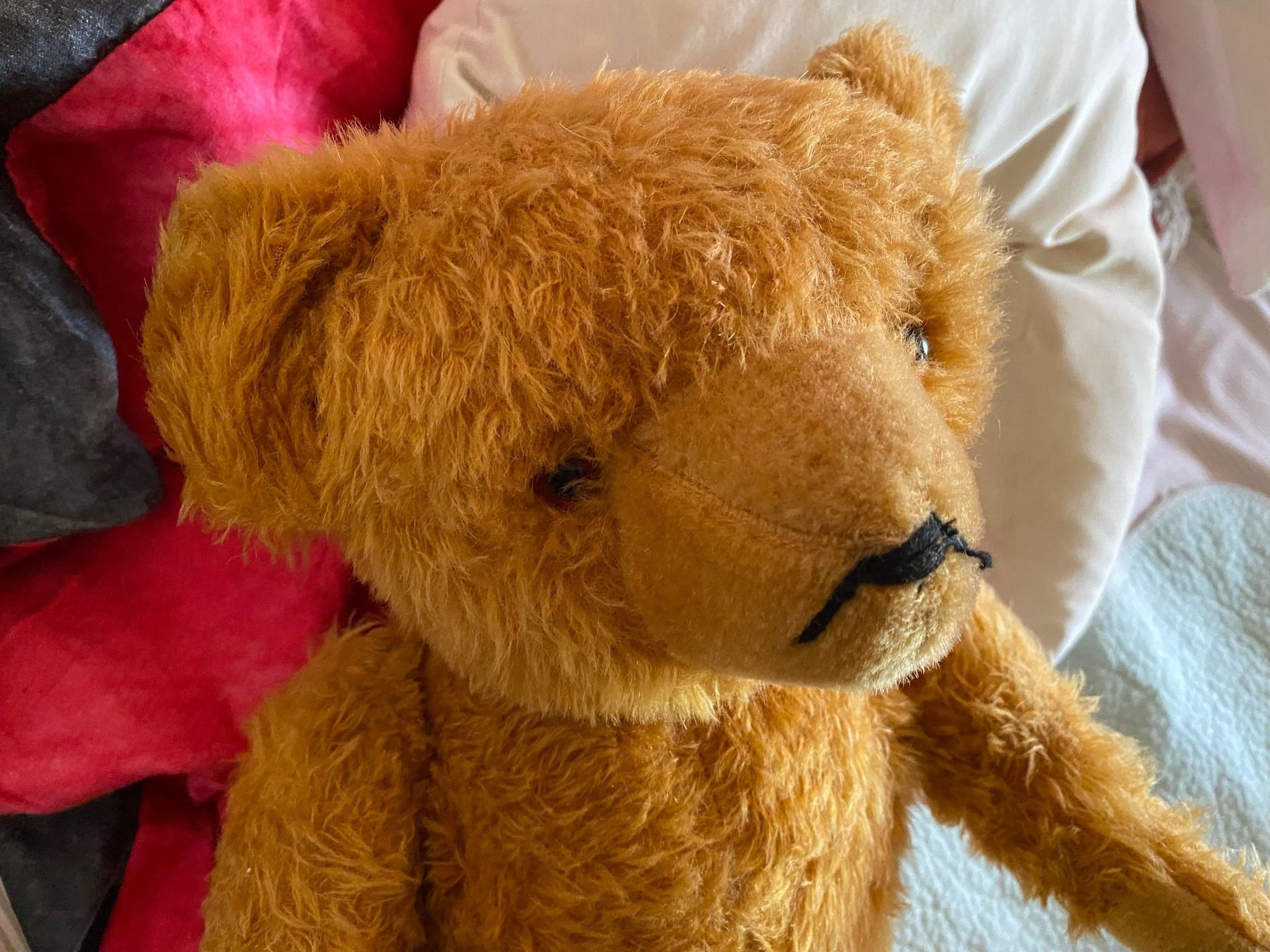 Figuren: Grosser alter Teddy Topzustand – Gebraucht aus Zürich von Pyramid1 4