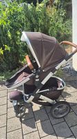 Joolz Geo Duo braun (Zweitsitz NEU)