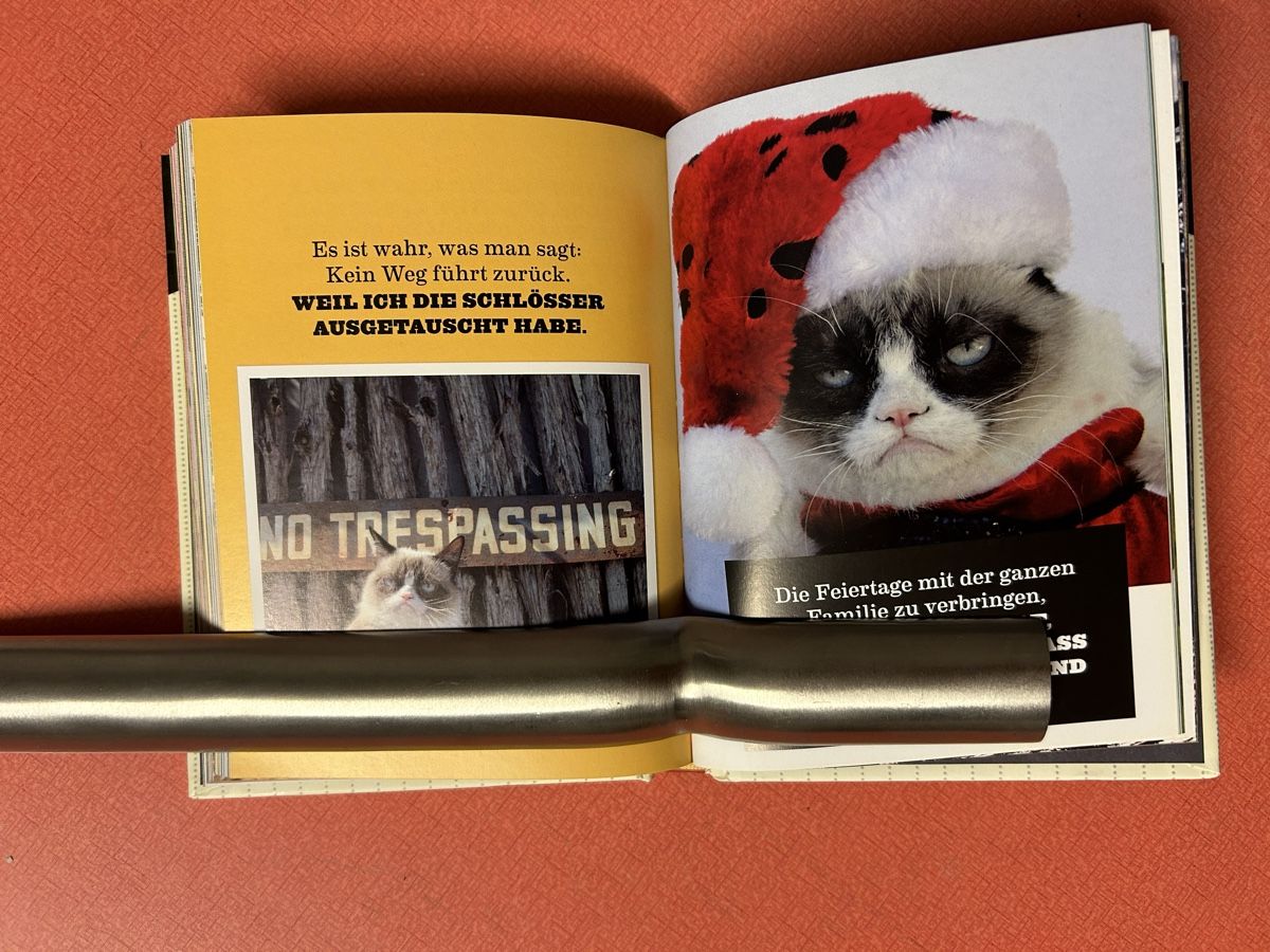 Libri: Grumpy Cats Grumpy Guide to Life Buch guter Zustand – Usato da Lanzenhäusern venduto da vic63 6