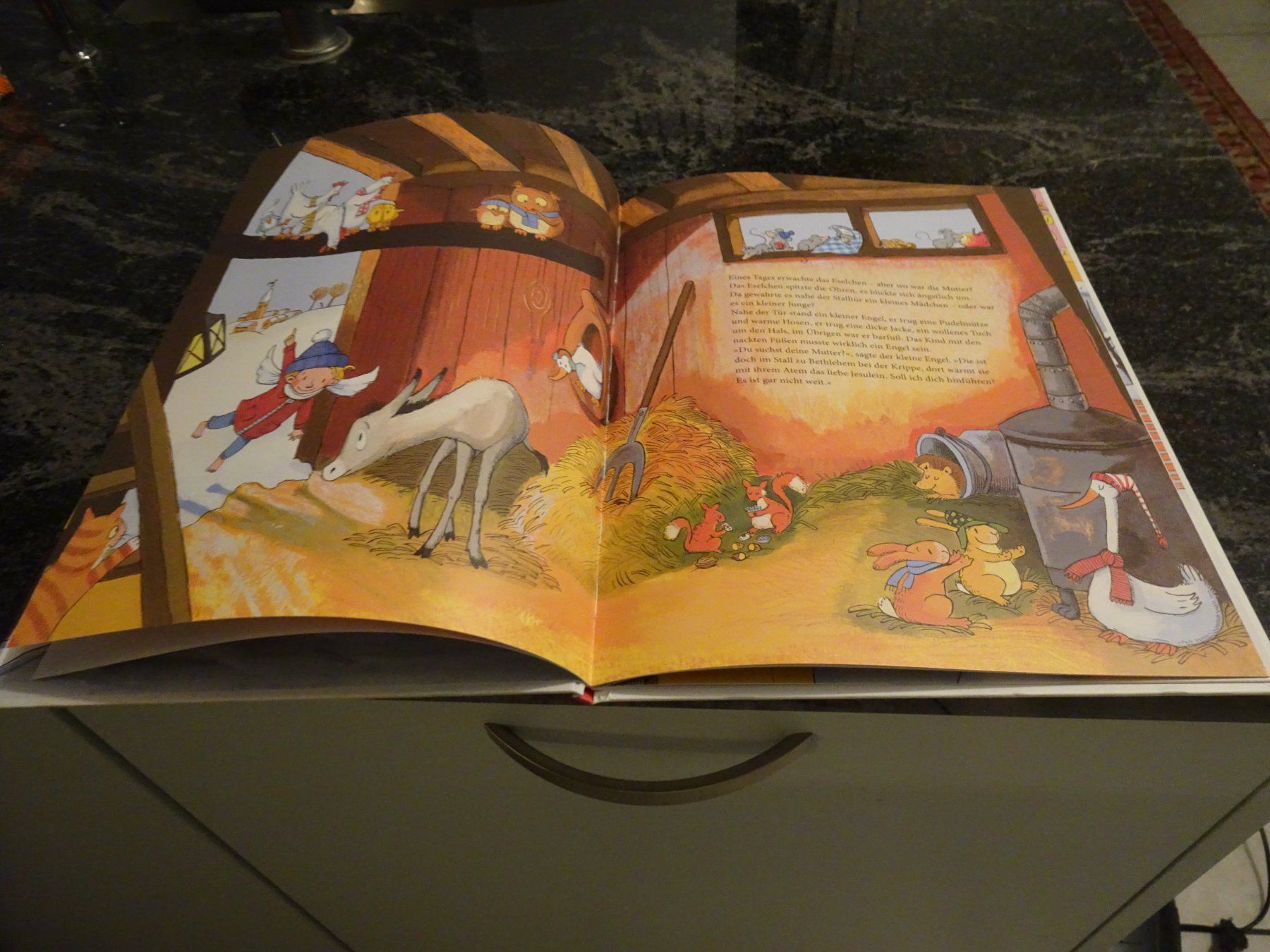 Libri: Weihnachtsgeschichte: Das Eselchen und der kleine Engel – Usato da Zürich venduto da Roulet 4