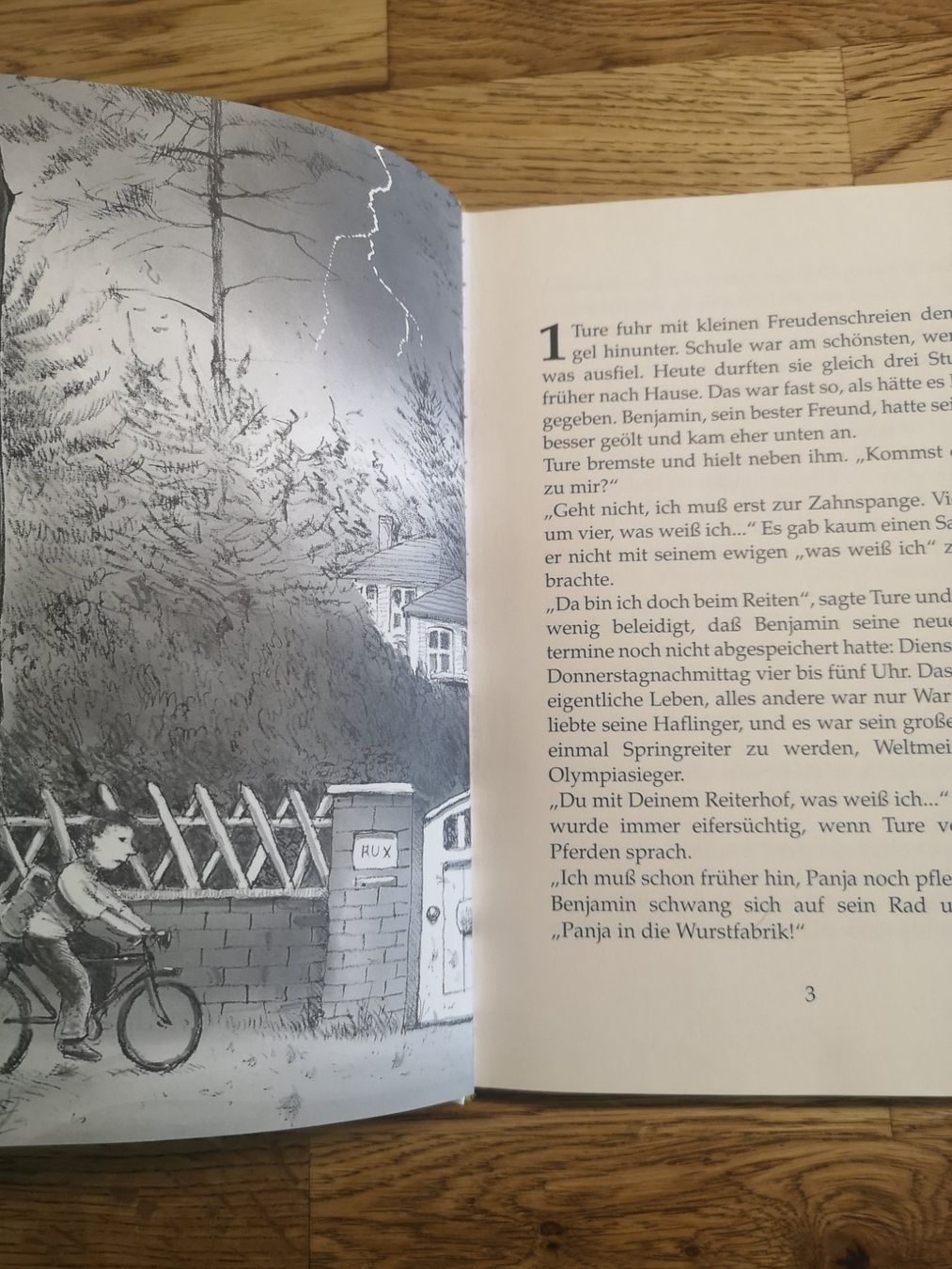 Libri: Kinderbuch :Sonst ist es aus mit dir. – Usato da Forch venduto da Hakyboss 2