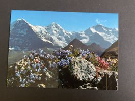 Alte Ansichtskarte Jungfraujoch 3454m mit Stempel!